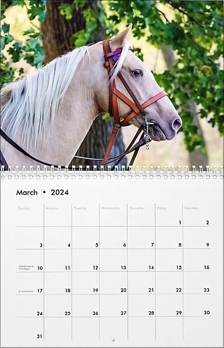Hästkalender